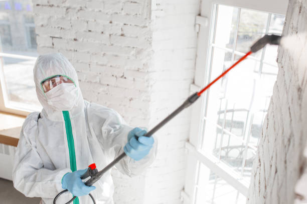 Best Mold-Related Health Consultation  in East Newark, NJ