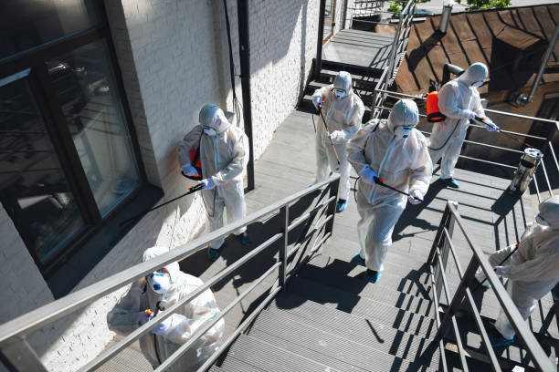 Best Comprehensive Air Testing for Mold Contaminants  in East Newark, NJ