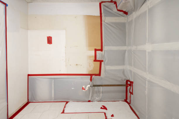 Best Crawl Space Mold Remediation  in East Newark, NJ