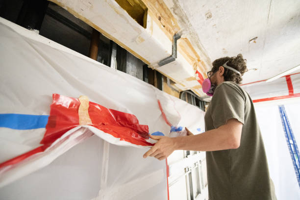 Best Basement Mold Removal  in East Newark, NJ