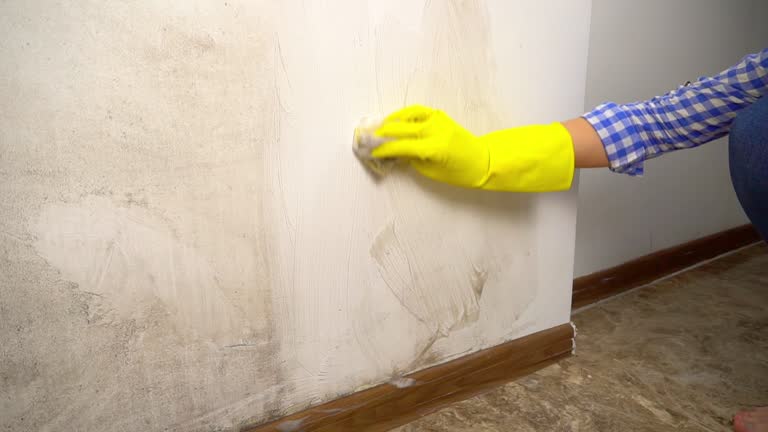 Best Commercial Mold Inspection  in East Newark, NJ