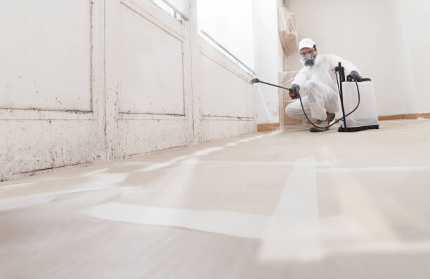 Mold Removal for HVAC Installations in East Newark, NJ